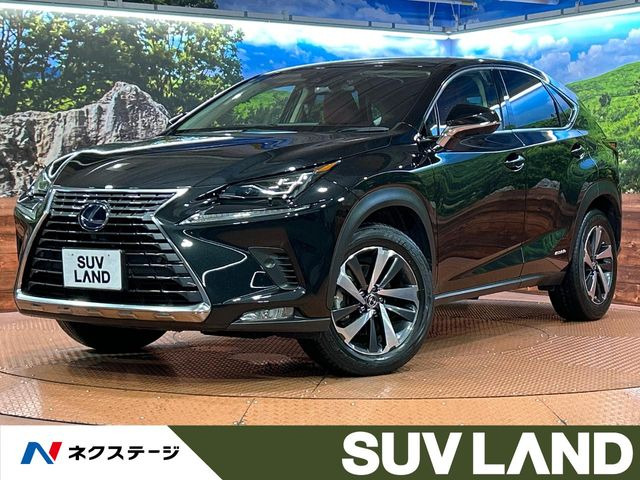 NX 300h Iパッケージ 
