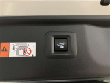 バックドアの底部にパワーバックドアスイッチとパワーバックドアクローズ&ロックボタンが付いてます。