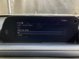 メーカーオプションTVチューナー付!
