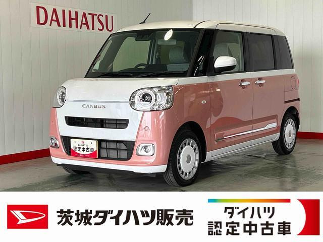 ムーヴキャンバス  ストライプス G