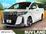 モデリスタエアロ サンルーフ アルパインBIG-Xナビ フルセグ ETC