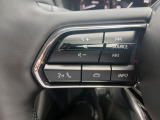 運転しつつ手元で安全にオーディオ操作できます!!