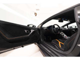 Standard floor mats