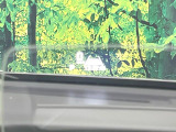 【ヘッドアップディスプレイ】現在の速度や走行情報をデジタル表示で運転席前方のガラスに投影!運転中、目線をずらさず必要な情報を確認できるのでとっても便利で安心!