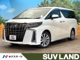 禁煙車 サンルーフ 後席モニター 9インチ純正ナビ バックカメラ