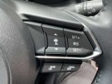 レーダークルーズ機能で前方の車両に一定の距離を開けて追従し、ブレーキも自動でかかります。