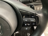 ステアリングホイール・後ろの減速セレクターは、左右に取り付けられた2つのパドルスイッチで減速の強さを調整。 左側の「-」を操作すると減速を強く、右側の「+」を操作すると減速を弱くすることができます。