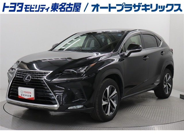 NX 300h Iパッケージ