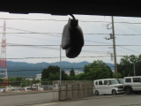 後方の映像もしっかり録画できます。