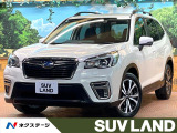 禁煙車 純正ナビ バックカメラ クルーズコントロール メモリーシート
