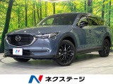 純正10.25型ナビ 全周囲カメラ 寒冷地仕様 衝突軽減装置