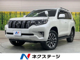 サンルーフ BIG-X11型ナビ OP19インチアルミホイール