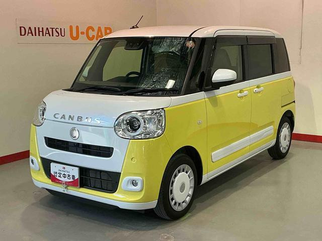 ムーヴキャンバス  ストライプス G