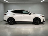 NX 250 バージョンL 4WD 