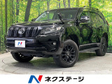 7人乗 ムーンルーフ BIG-X9型ナビ セーフティセンス 寒冷地仕様