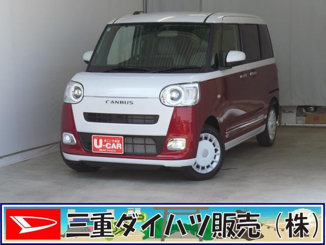 ムーヴキャンバス  ストライプス G