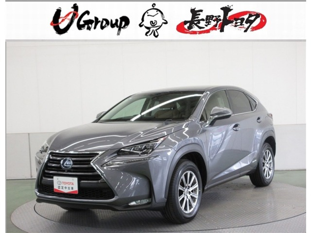 NX 300h Iパッケージ