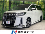 バックカメラ 100V電源 レーダークルーズ 電動リアゲート 前席シート