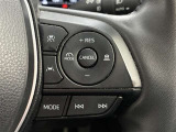 前方の車との車間を設定し、スピードを上げたり緩めたりを自動で行ってくれる追尾式の「レーダークルーズ」。上級装備の一つです!高級車にしかつかない嬉しい機能です。