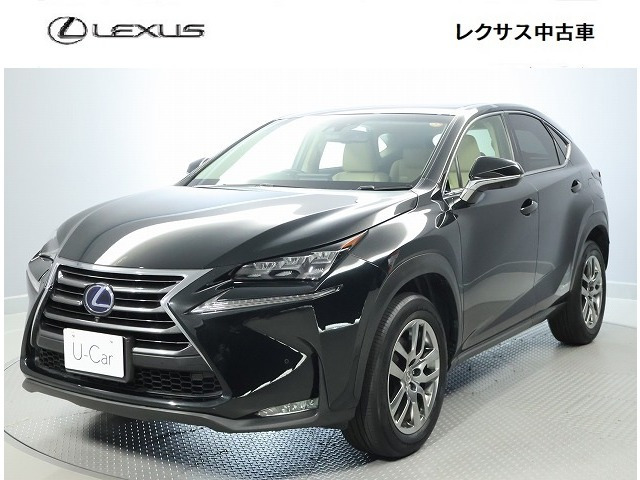 NX 300h Iパッケージ