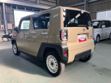 タフト入荷いたしました