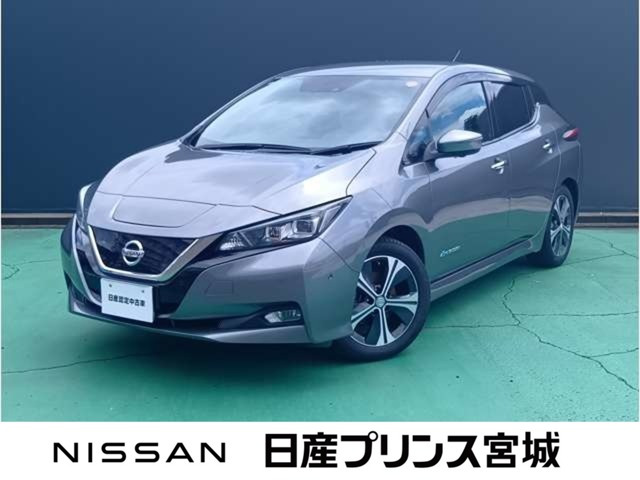 リーフ G 