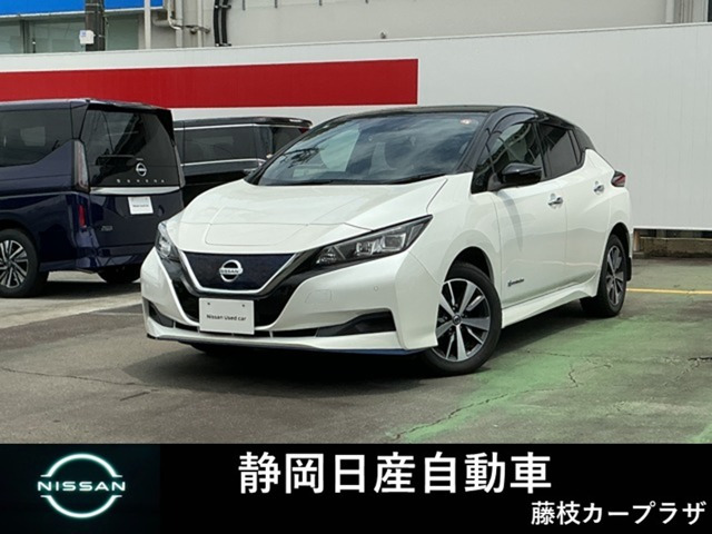 リーフ e+ X 