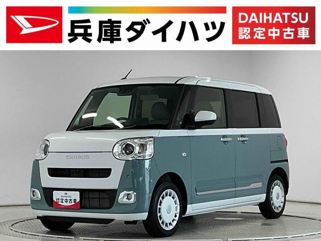 ムーヴキャンバス  ストライプス G
