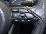 レーダークルーズコントロール/車間距離切替/レーントレーシングアシスト
