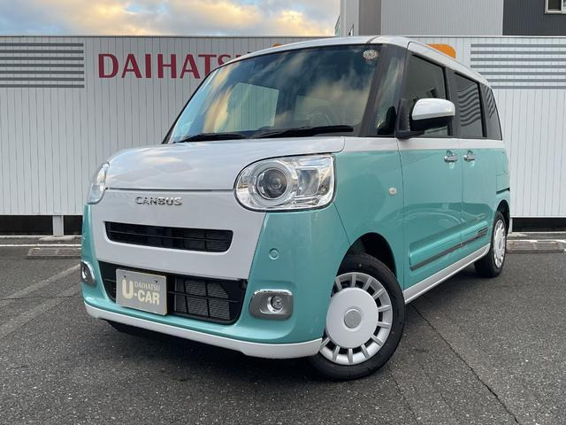 ムーヴキャンバス ストライプス G