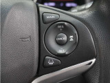 ◆アダプティブクルーズコントロール◆予め設定した車速内でクルマが自動的に加減速。前走車との適切な車間距離を維持しながら追従走行します。【LKAS】車線維持支援システムでステアリング操作を支援。