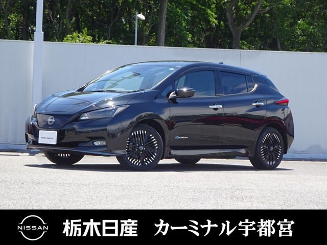 リーフ e+ G