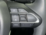 各操作スイッチなどもハンドルから手を放すことなく操作可能で安全運転に支援いたします!