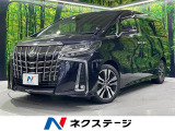 両側電動ドア 純正10型ナビ 後席モニター バックカメラ 衝突軽減