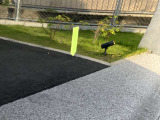 左リヤドアにキズあり