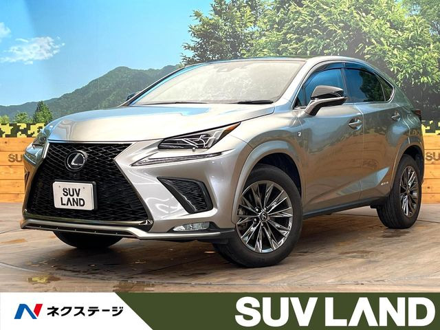 NX 300h クール&ブライト 