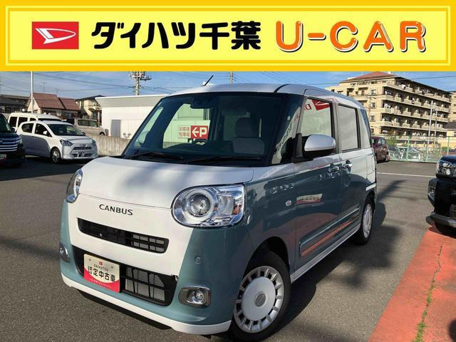 ムーヴキャンバス  ストライプス G