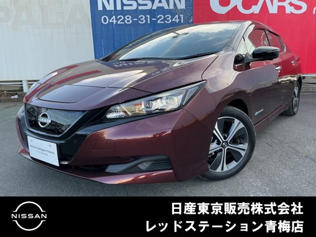 リーフ X Vセレクション