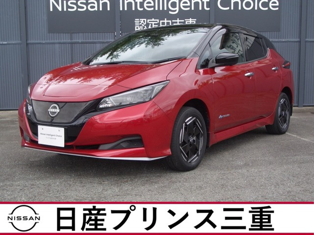 リーフ e+ X