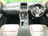NX 300h 