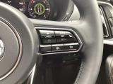 このシステムは、運転者がアクセルやブレーキを踏まなくても、設定した速度で前方車との車間距離を一定に保つ追従走行を行います。さらにステアリングアシスト機能では車線に沿った走行をアシストします。
