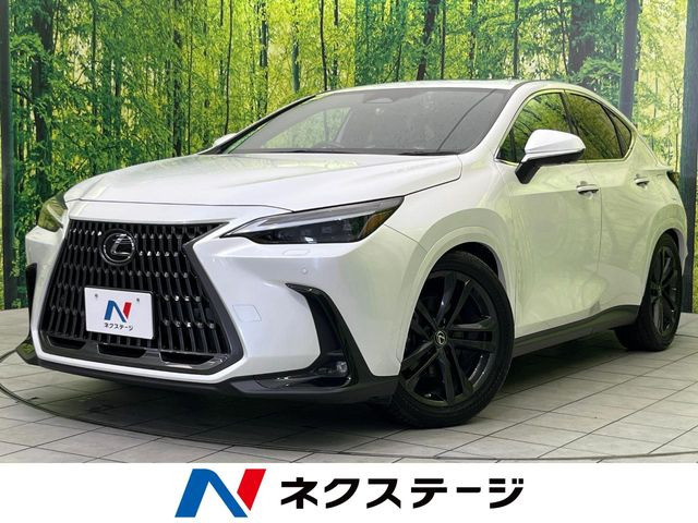 NX 250 バージョンL