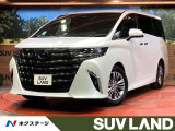純正13.2型後席モニター デジタルインナーミラー パノラミックビューモ