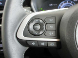 ステアリングスイッチは前方から目を離すことなく操作することが可能。わき見運転の防止に。