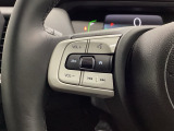 ステアリング左手側はオーディオ関連の操作スイッチです。視線を逸らすことなく運転に集中できます