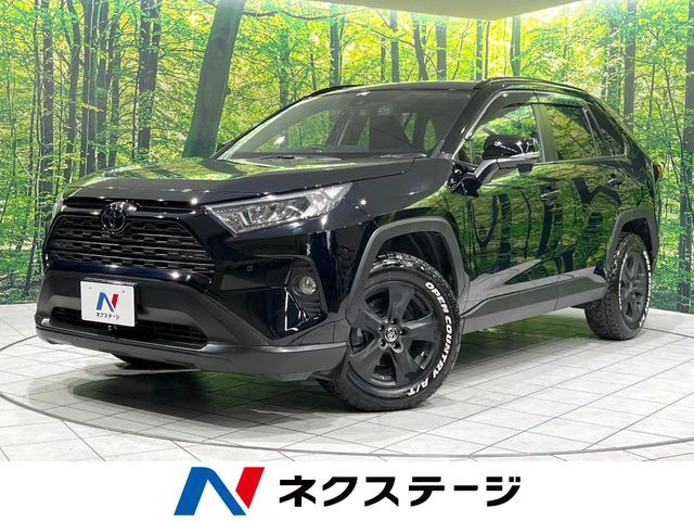RAV4 2.0 X 