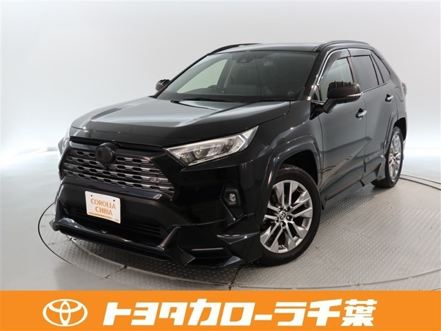 RAV4 2.0 G Zパッケージ 4WD（6BA-MXAA54）