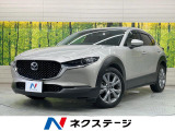 純正8.8型ナビ 全周囲カメラ ブラインドスポットモニター 衝突軽減装置
