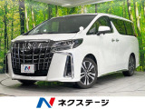 両側電動ドア 後席モニター 9インチディスプレイ バックカメラ 衝突被害