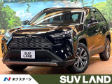 全周囲カメラ レーダークルーズ デジタルミラー ブラインドスポットモニタ